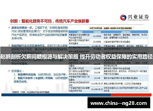 赵鹏剖析欠薪问题根源与解决策略 提升劳动者权益保障的实用路径