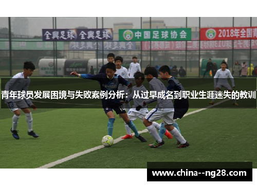 青年球员发展困境与失败案例分析：从过早成名到职业生涯迷失的教训