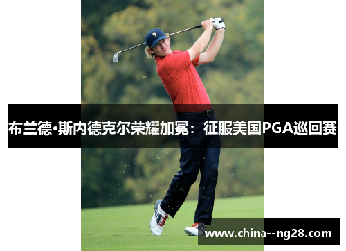 布兰德·斯内德克尔荣耀加冕：征服美国PGA巡回赛