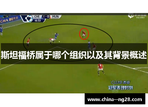 斯坦福桥属于哪个组织以及其背景概述