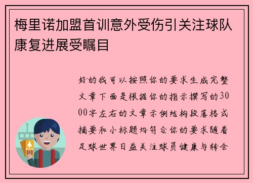 梅里诺加盟首训意外受伤引关注球队康复进展受瞩目